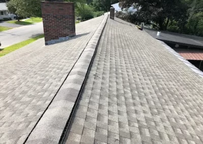 Construction Services (8)